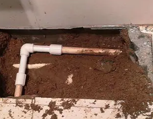 石台测漏水哪家好