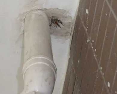 石台漏水检测哪家好